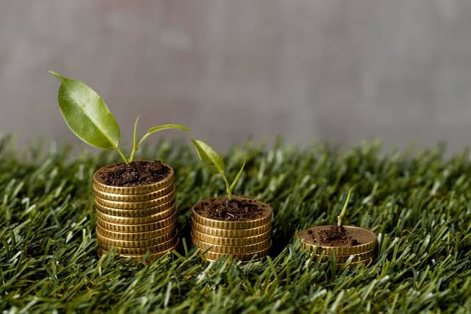 Finanzas para la Naturaleza: una agenda en construcción para la profesión
